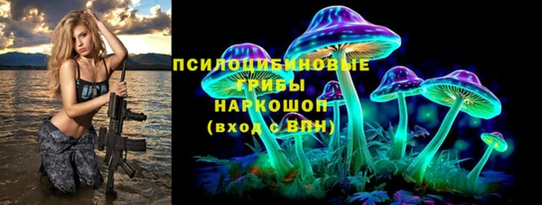 хмурый Алексеевка