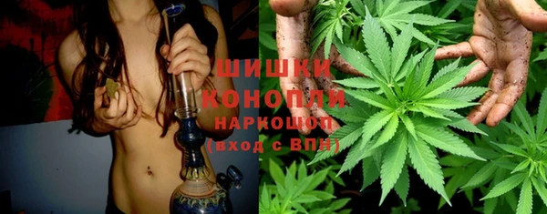 шишки Алзамай