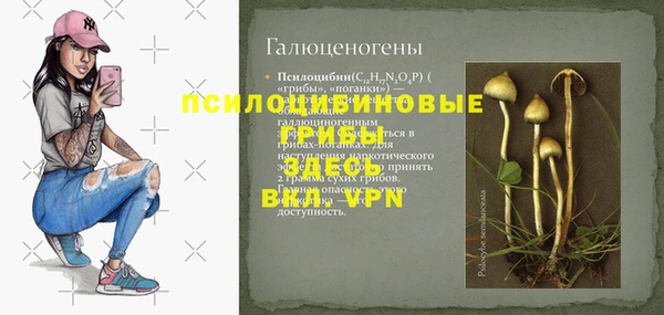 хмурый Алексеевка